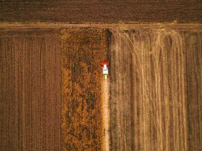 VBP da agropecuária