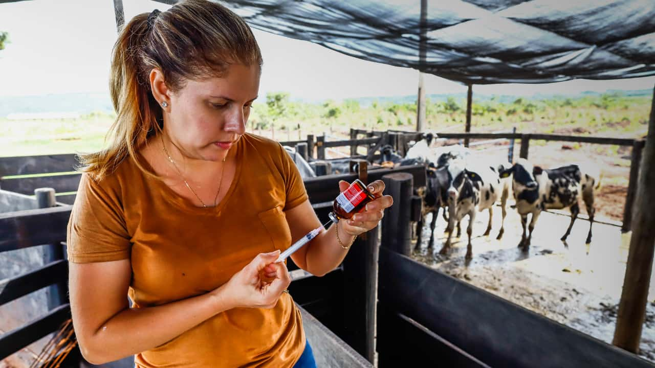 Onze milhões de mulheres trabalharam no agronegócio brasileiro em 2023. 