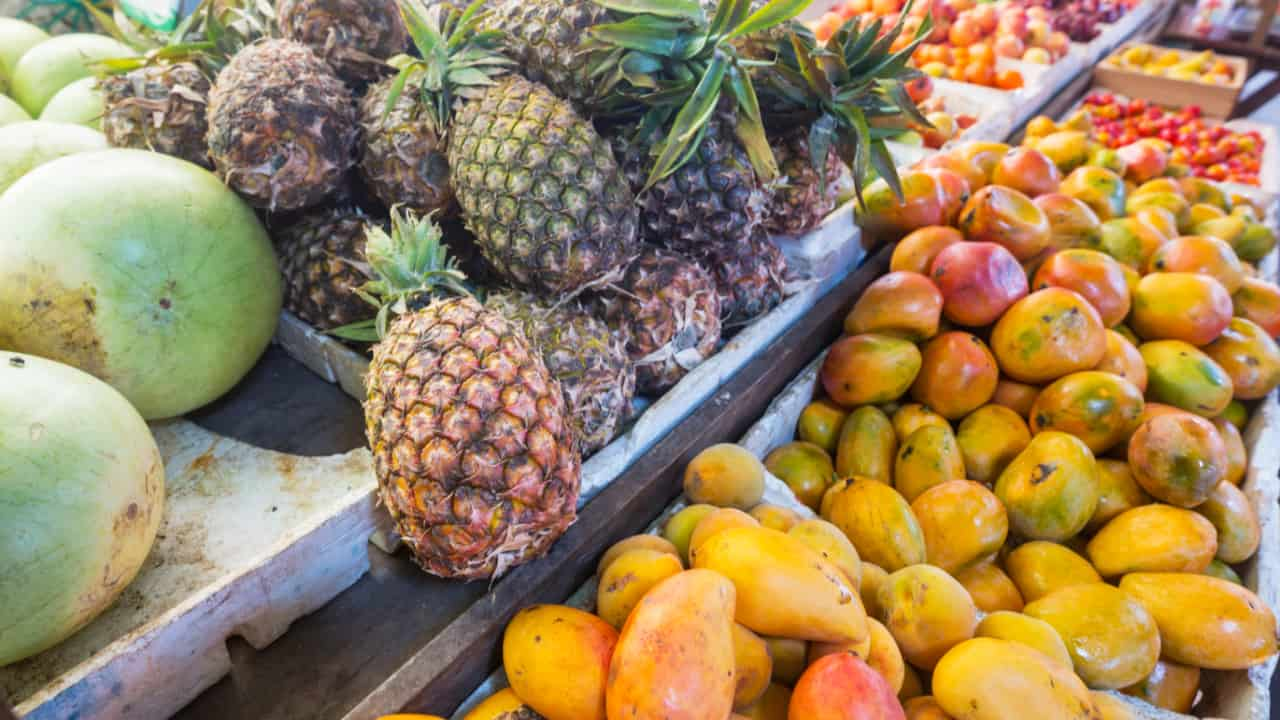 Brasil é o terceiro maior produtor de frutas do mundo. 