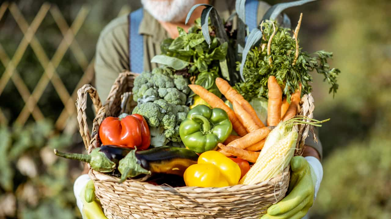 Brasil é o quarto maior produtor de alimentos no mundo.