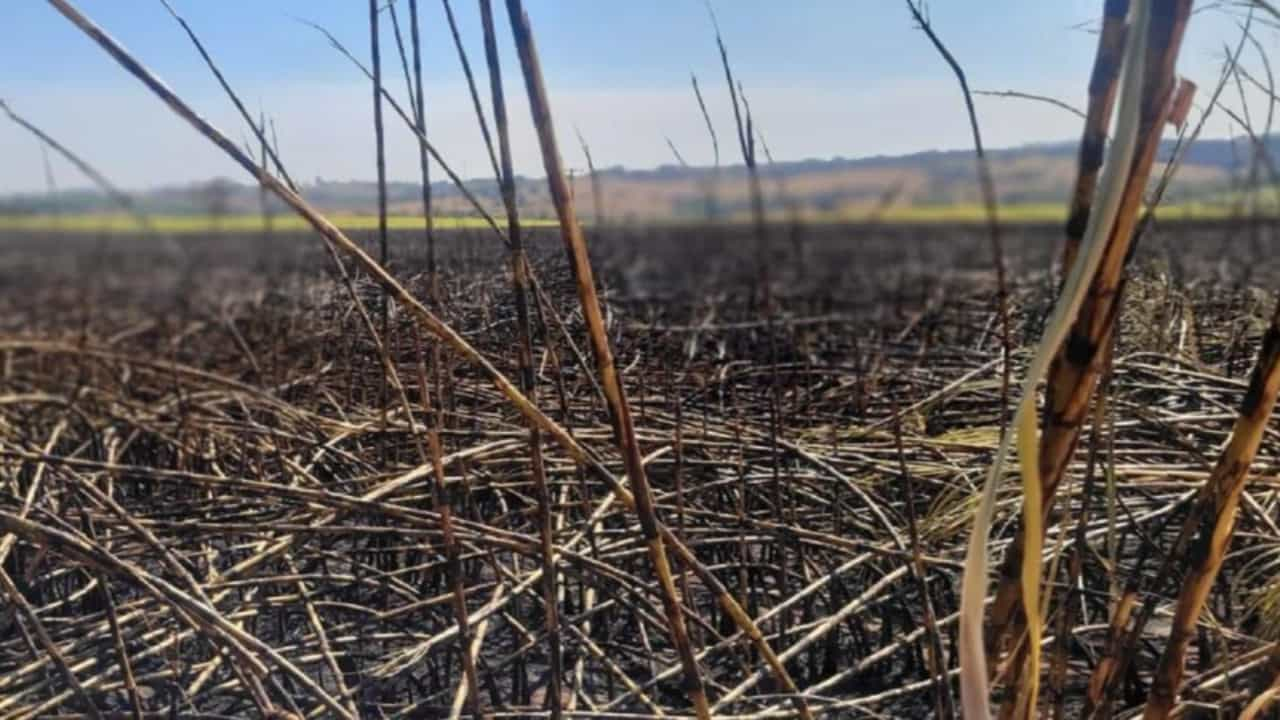 CNA acredita que decreto endurece penas e traz sanções aos produtores vítimas dos incêndios. 