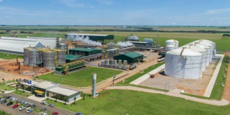 Seminário aborda setor de Agroenergia no dia 30 de outubro, em Brasília-DF