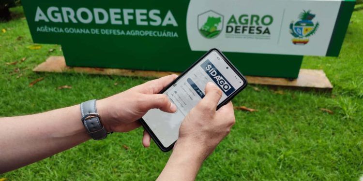 Cadastro de propriedade rural poderá ser feito totalmente on-line; veja como fazer