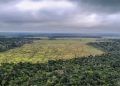 Degradação de florestas na Amazônia bate recorde mensal em setembro; veja