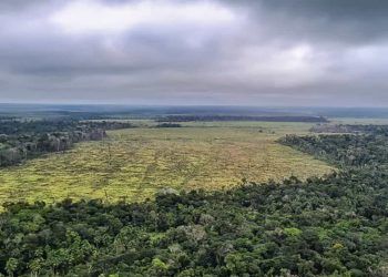 Degradacao de florestas na Amazonia bate recorde mensal em setembro veja 1