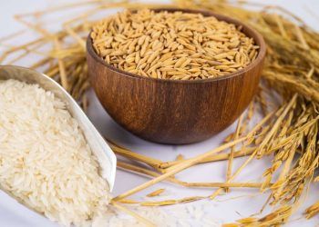 Produção de arroz cresce com benefícios em sistemas integrados, maior produtividade e renda