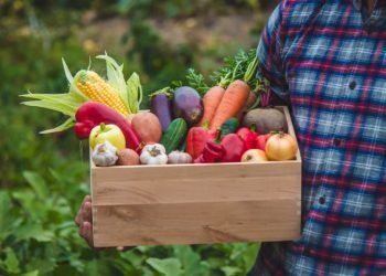 Brasil produz mais de 160 culturas agrícolas entre hortifrútis e grãos