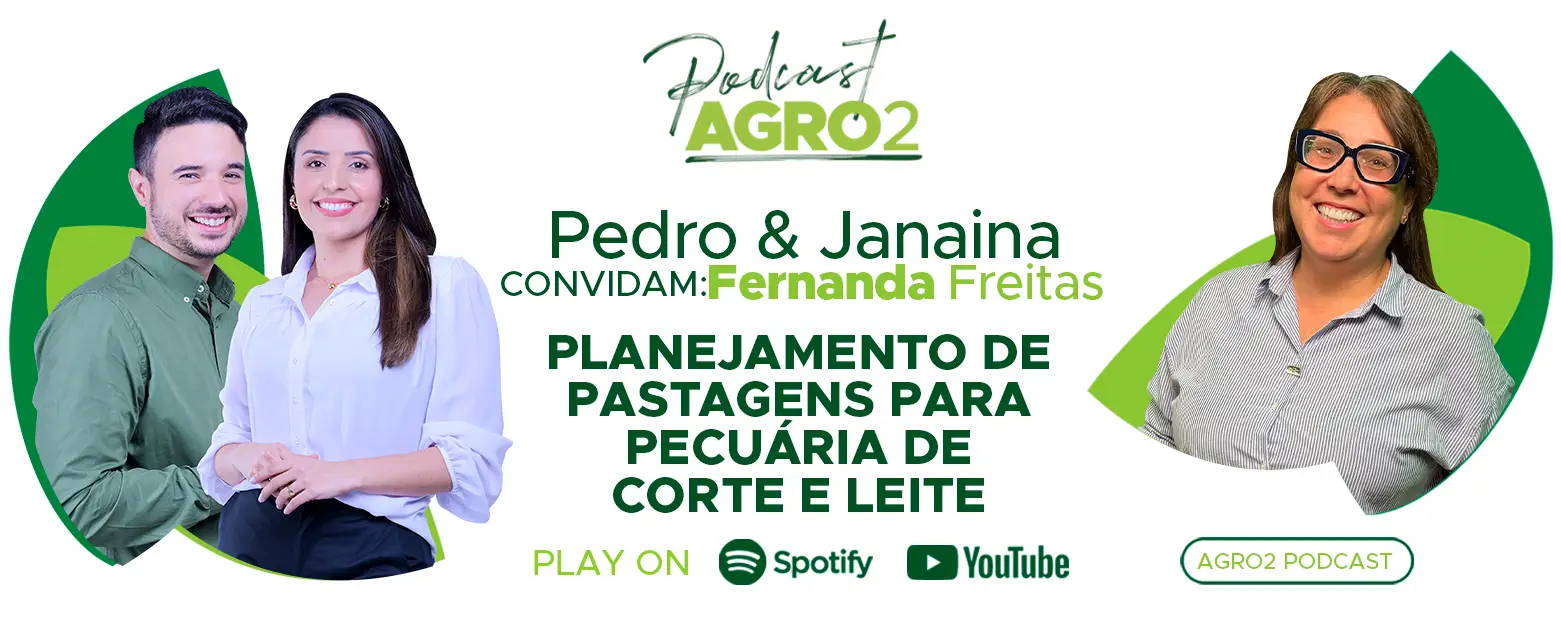 Podcast com Fernanda Freitas