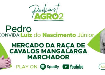 Podcast com Luiz do Nascimento Junior