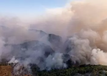 Polícia Federal irá investigar incêndios criminosos no Pantanal