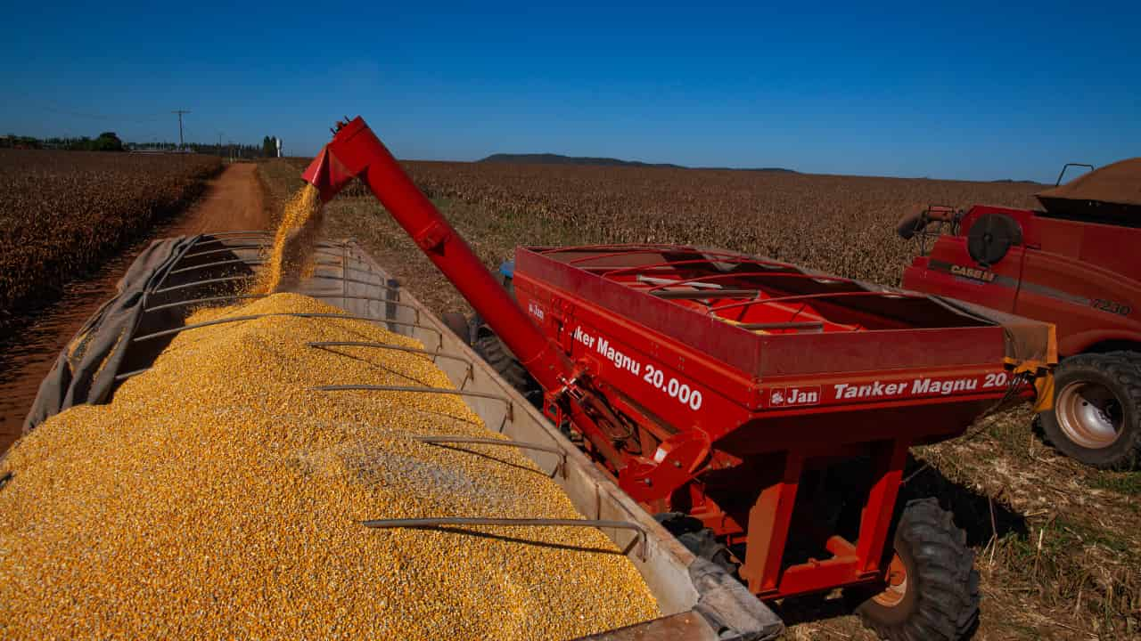 Sorriso (MT), São Desidério (BA), Sapezal (MT) lideram a produção agrícola no país. 