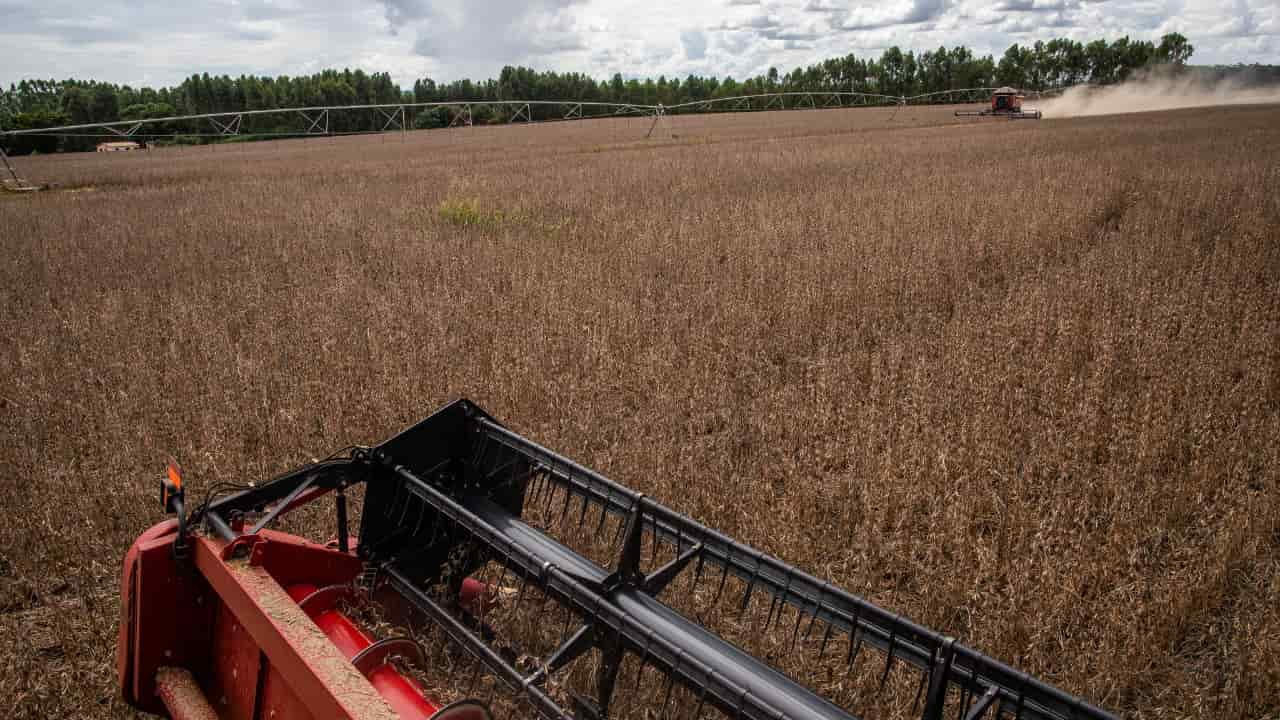 Agricultura dentro da porteira registrou retração para soja, milho e cana-de-açúcar. 