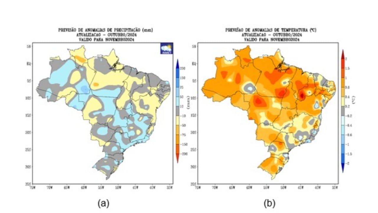 Chuvas mais regulares apontam para recuperação dos níveis de umidade no solo. 