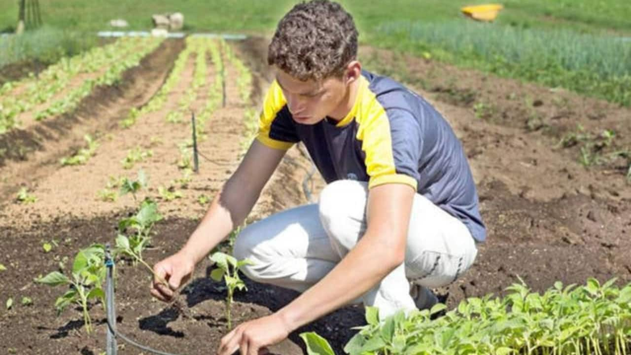 Ensino busca formar jovens técnicos agropecuários e também a dar sequência à sucessão familiar. 