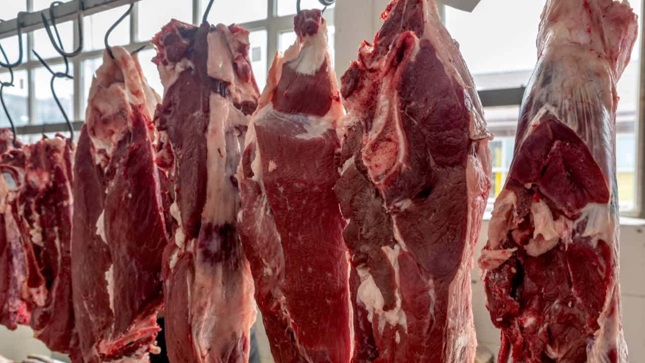 Exportações em setembro foram impulsionadas pelas vendas de carne bovina. 