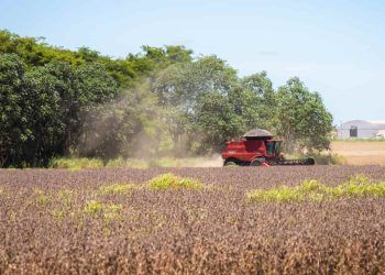 Lei antidesmatamento pode mudar percepção de empresas sobre produtos brasileiros