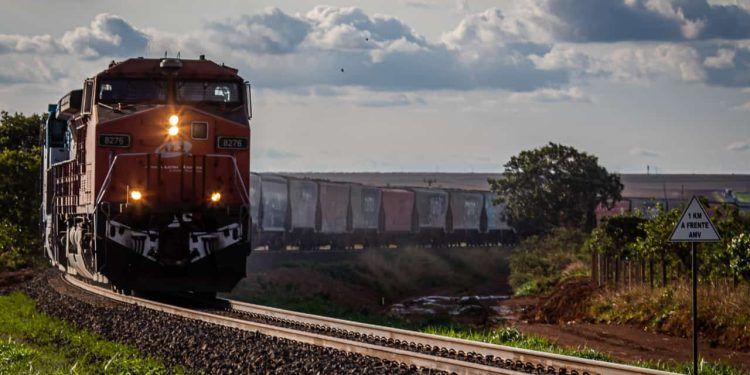 Ferrovias podem reduzir 30% dos custos de transporte com produtos agrícolas