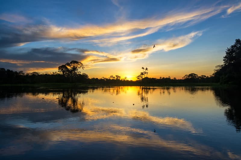 Lagos na Amazônia