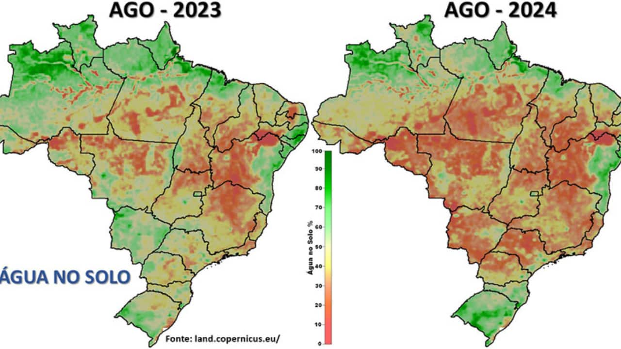 Mapeamento das áreas impactadas mostra principais pontos em áreas florestais.