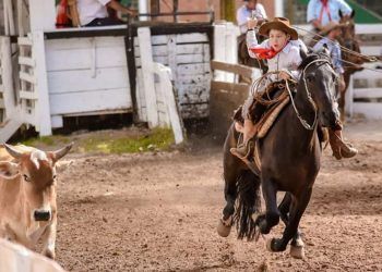 medida busca valorizar evento tradicional da cultura gaucha