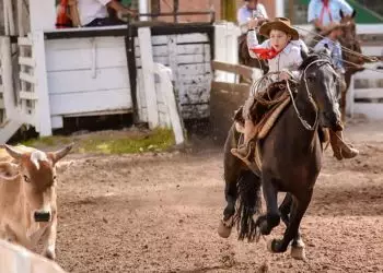 Lei que reconhece Rodeio Crioulo como cultura popular é sancionada