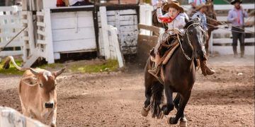 Lei que reconhece Rodeio Crioulo como cultura popular é sancionada