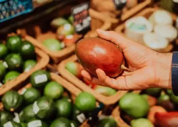 Exportações brasileiras de frutas crescem 8,5% no valor embarcado em 2024