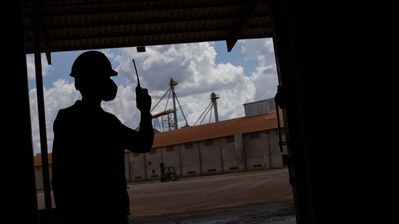 Número é recorde com destaque para segmentos de agrosserviços e agroindústrias. 