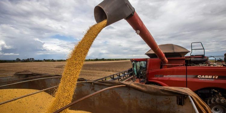 Empregos no agronegócio ocupam 28,6 milhões de pessoas no 2º tri de 2024 no Brasil