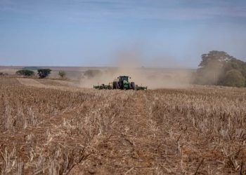 Agricultores começam plantio de soja; veja previsão do tempo pelo Brasil