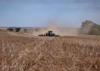 Agricultores começam plantio de soja; veja previsão do tempo pelo Brasil