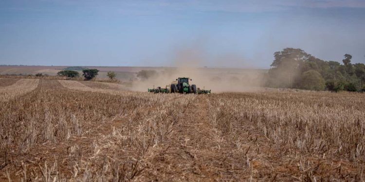 Agricultores começam plantio de soja; veja previsão do tempo pelo Brasil