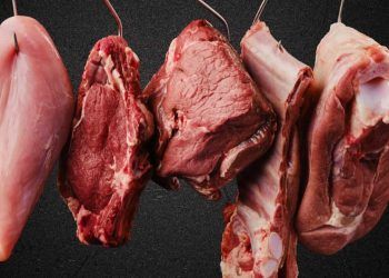 Produção brasileira de carnes deve crescer 22% na próxima década