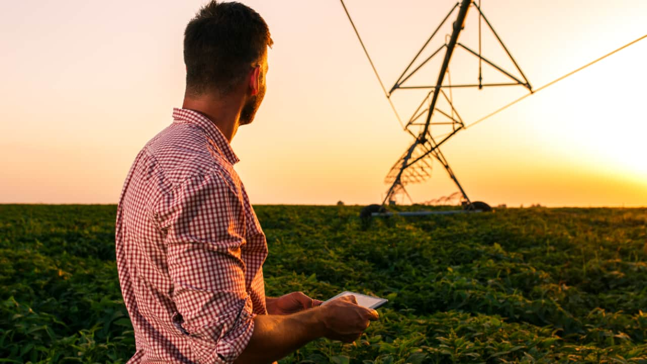 Produtores rurais brasileiros atuam mais com práticas regenerativas e tecnologia. 