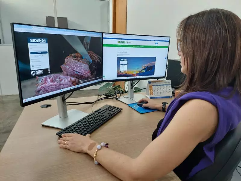 Cadastro de propriedade rural poderá ser feito totalmente on-line; veja como fazer 2 Propriedade rural