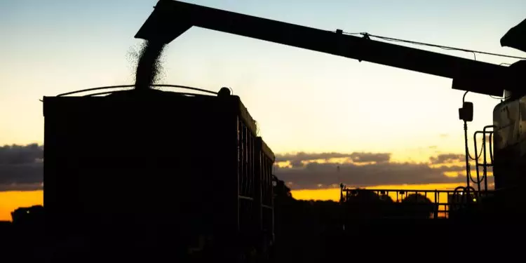 PIB do Agronegócio segue em queda e pode fechar participação em 21,8% em 2024 1 PIB do Agronegócio segue em queda e pode fechar participação em 21,8% em 2024