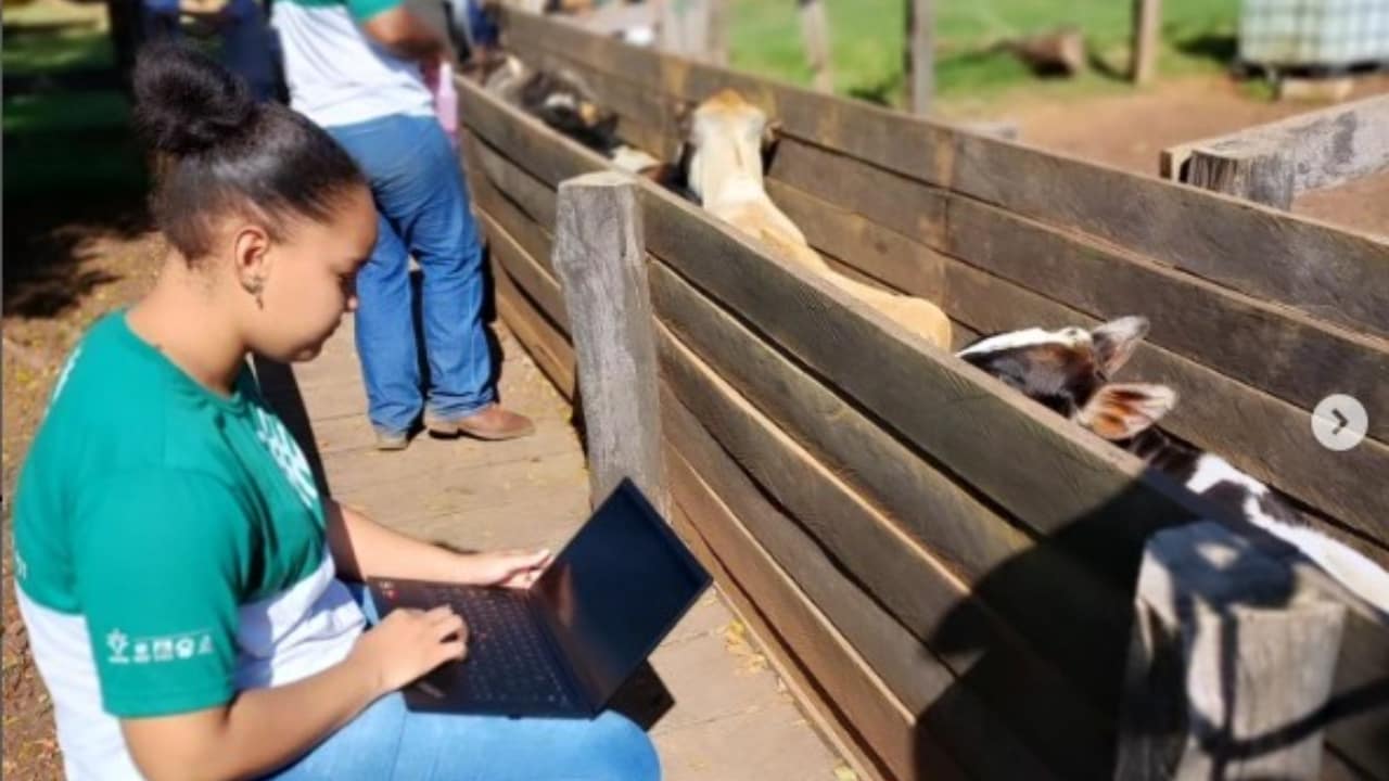 São oferecidas 160 vagas no município de Nova Mutum-MT. 