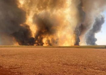 Setor produtivo pede suspensão de decreto que penaliza vítimas de incêndios