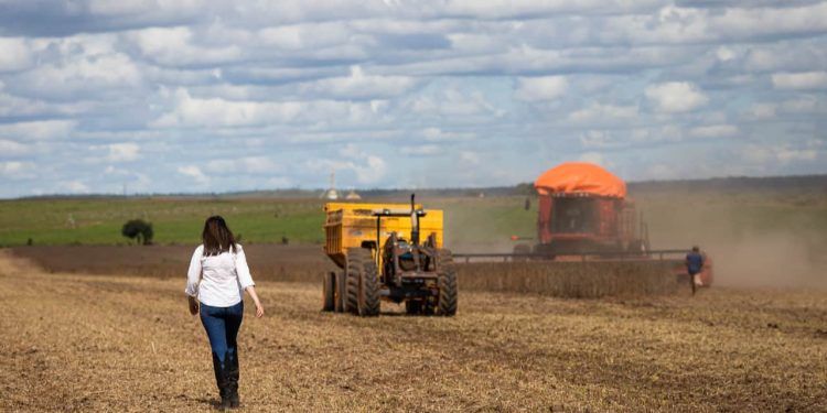 Dia Internacional da Mulher Rural: 25% da população mundial feminina atua na agricultura