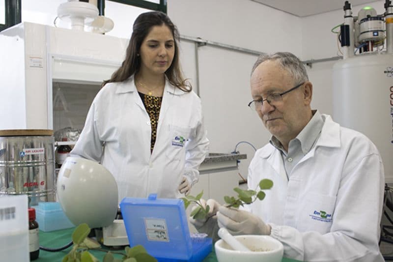 Protocolo orienta o uso de ressonância magnética no estudo do metabolismo de plantas 2 Uso de ressonância