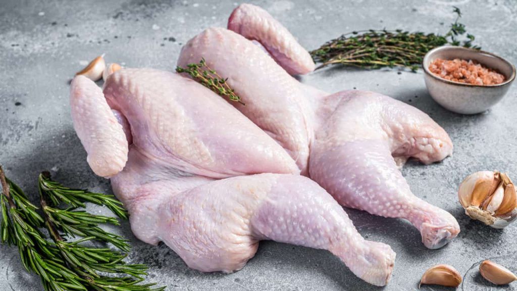 Gripe Aviária: África do Sul e Singapura suspendem restrições à carne de aves do Brasil 2 Brasil abre mercado para exportação de carne de aves para Bósnia e Herzegovina