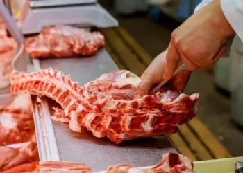 Brasil amplia exportações de carne para África do Sul com habilitação de 19 frigoríficos 