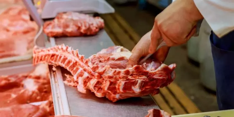 Brasil amplia exportações de carne para África do Sul com habilitação de 19 frigoríficos 1 Brasil amplia exportações de carne para África do Sul com habilitação de 19 frigoríficos