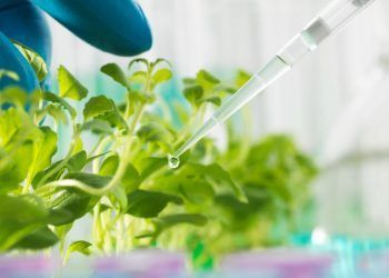 Projeto que regulamenta produção de bioinsumos agrícolas é aprovado na Câmara