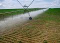 Workshop abordará gestão da água na irrigação agropecuária, em Brasília-DF