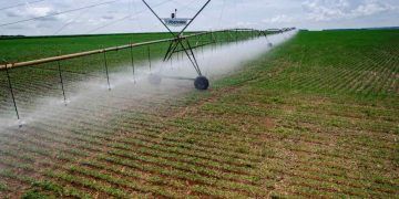 Workshop abordará gestão da água na irrigação agropecuária, em Brasília-DF