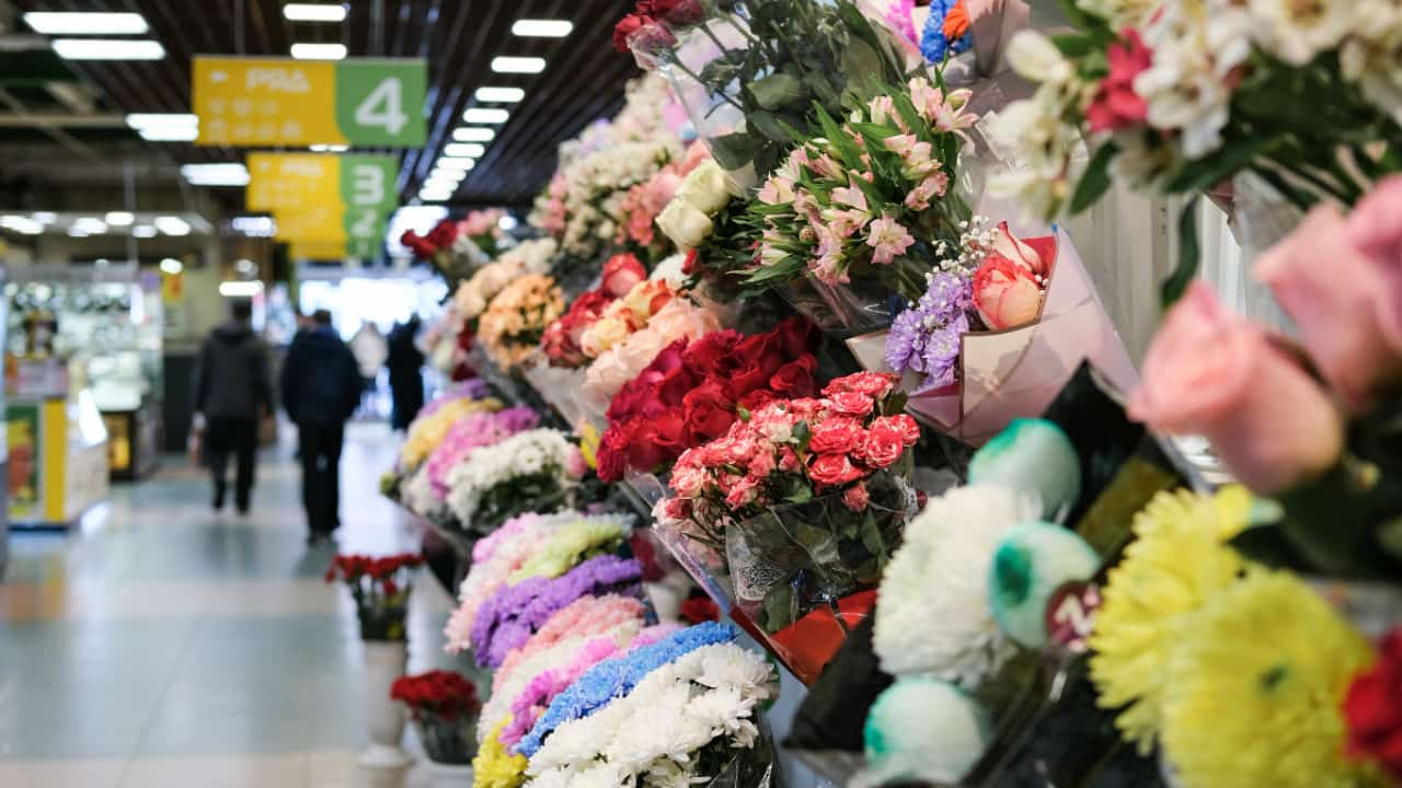 Brasil produz mais de 2,5 mil espécies de flores.