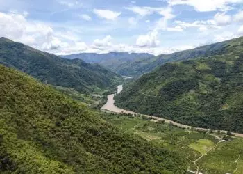 Desmatamento na Amazônia apresenta redução de 30,6%; veja taxa dos estados