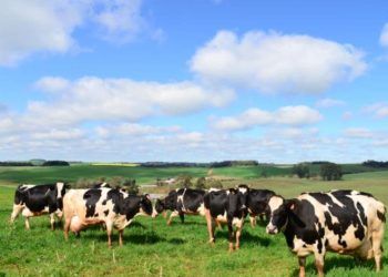 Embrapa e MDA lançam capacitações on-line para a agricultura familiar