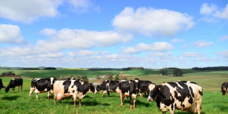 Embrapa e MDA lançam capacitações on-line para a agricultura familiar